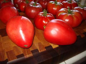 Описание сорта помидоров Мазарини
