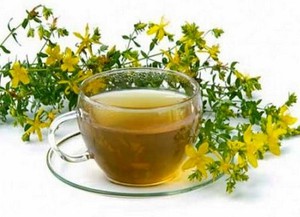Курильский чай для профилактики заболеваний