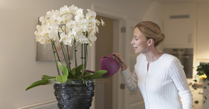 Уход за орхидеями в домашних условиях