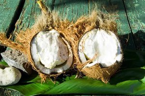 Внутренность кокосового ореха