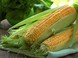 Как сажать кукурузу