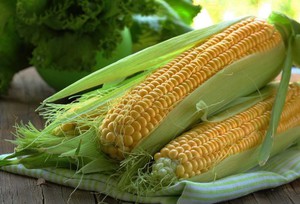 Как сажать кукурузу