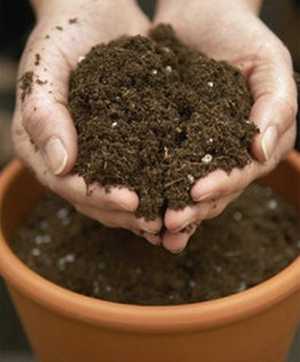Почва для комнатных растений 