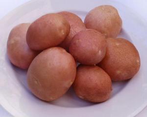 Устойчивость картофеля беллароза к вредителям