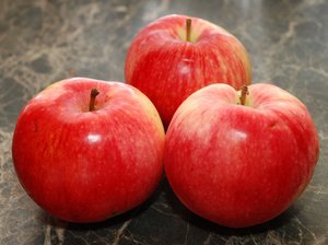 Как растет яблоня услада