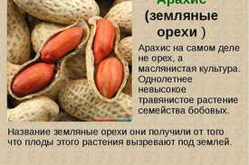 Уход за земляным орехом (арахисом)