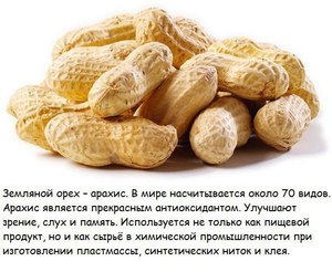 Полезные свойства земляного ореха (арахиса) 