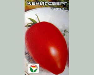 Выращивание томатов Кенигсберг из семян