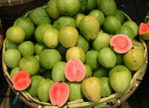  Экзотическая Гуава (Guava)