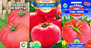 Производители семян томатов Чудо земли