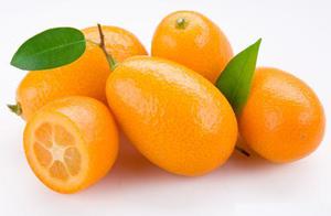 Схожесть фрукта Кумкват с апельсином