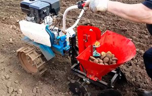 Посадка картофеля с помощью мотоблока