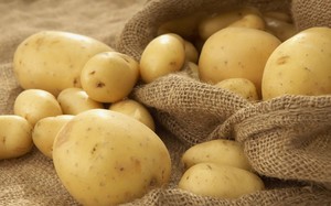 Выращивание картофеля розара