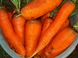 Как посеять морковь