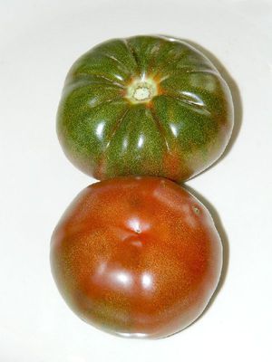 Характеристика тёмноокрашенных томатов