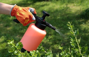 Как бороться со слизнями в огороде народными и химическими средствами