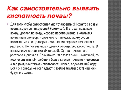 Как проверить кислотность почвы: 5 способов