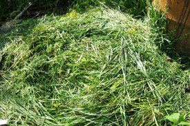 Как сделать удобрение из травы
