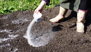 Раскислять почву