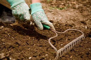 Проверка почвы на кислотность