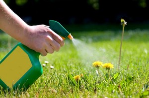 Как использовать гербициды в борьбе со мхом