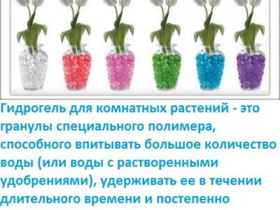 Что такое гидрогель и как его использовать в саду, огороде, цветнике