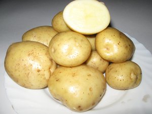 Правила выращивания картофеля Адретта