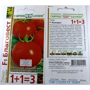 Способы выращивания томатов в теплице