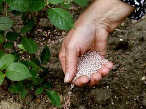 Азотные удобрения для почвы
